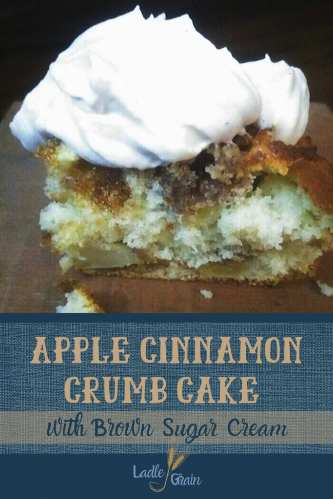 apple cinnamon crumb cake with brown sugar cream by ladle and grain
