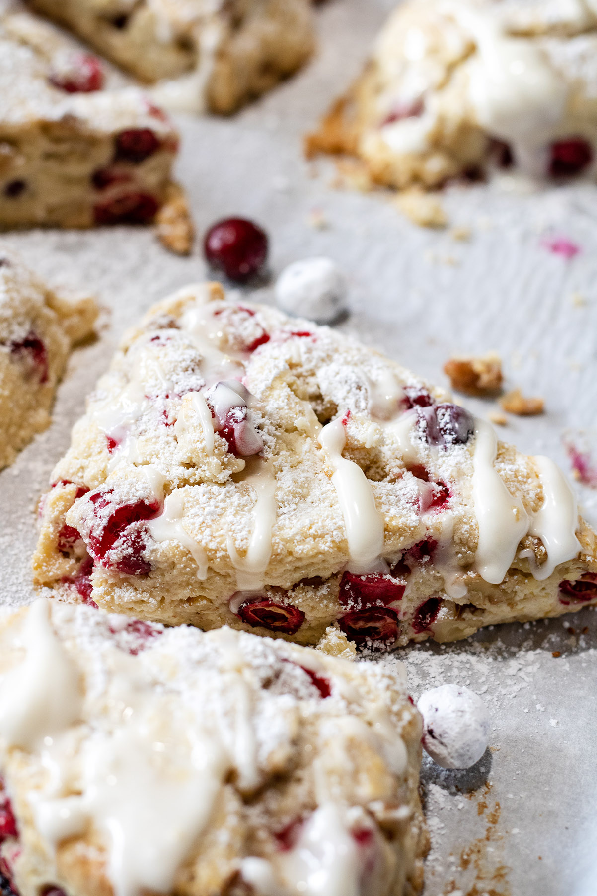 Cranberry scones with walnuts on parchment paper and garnished with a dusting of powdered sugar and drizzle of glaze.
