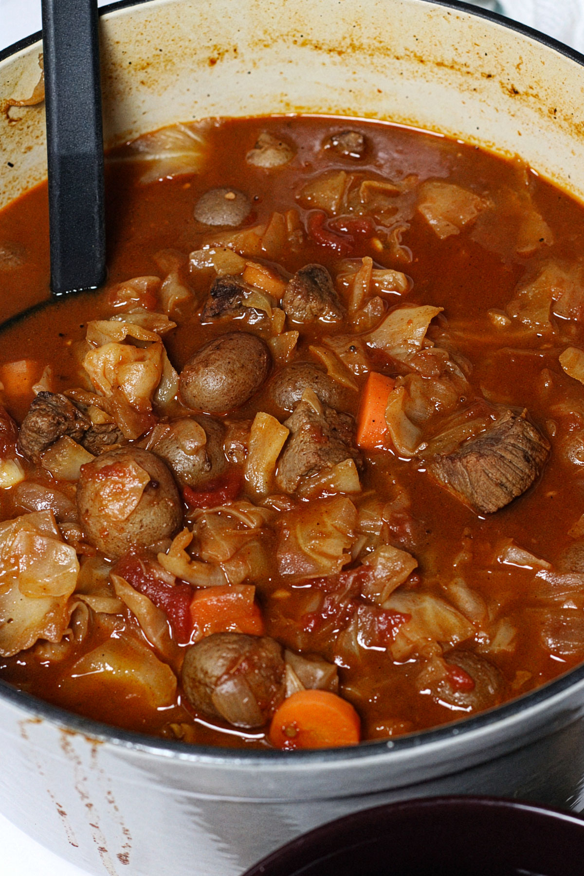Pot of beef and cabbage soup in a beefy tomato broth with carrots.